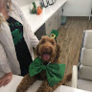 Meet your Posher, Kristen